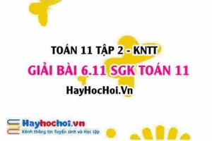 Bài 6.11 SGK Toán 11 Tập 2 Kết nối tri thức